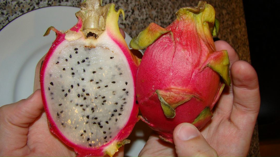 №22, Василий Фурт, 40 лет, Москва, Россия №22, Василий Фурт, 40 лет, Москва, Россия