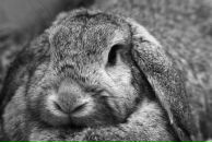 №7 Вячеслав Пикси 13.03: профиль, фото, статус - ВКонтакте №7 Вячеслав Пикси 13.03: профиль, фото, статус - ВКонтакте