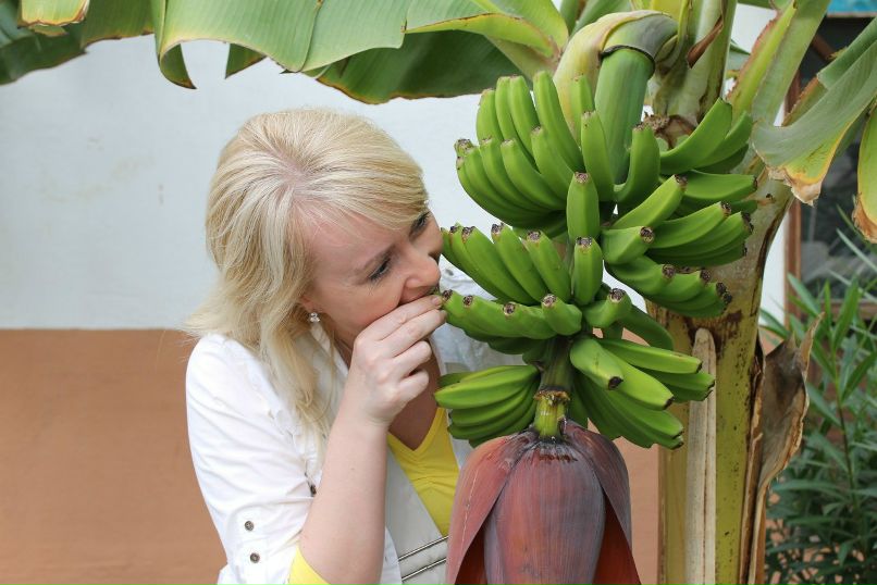 Olga Maksimova-Vomm | Санкт-Петербург