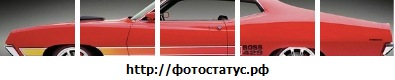 №41, Илья Мохов №41, Илья Мохов