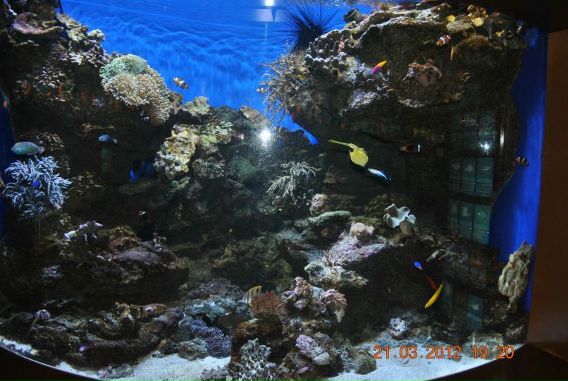 Оля Радомская | Одесса