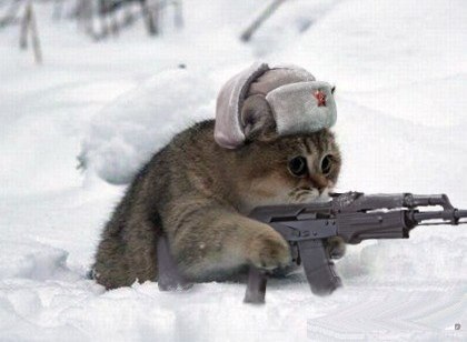 Никита Зыкин | Воронеж