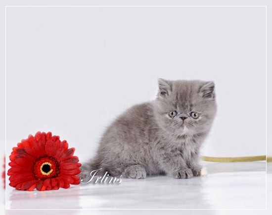 Аделия Якупова | Уфа