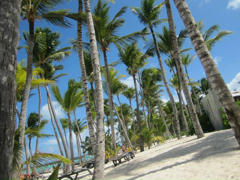 Александр Пушкин | Москва