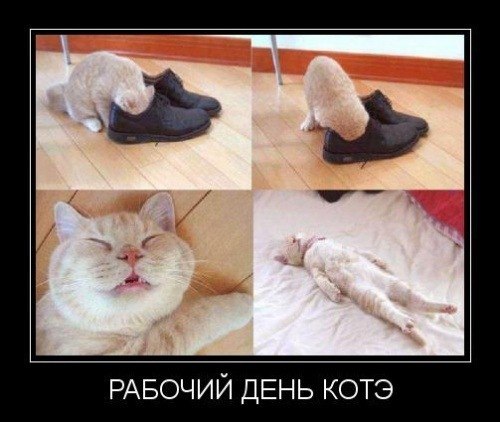 Слава Людсков ~FrisBy~ | Москва