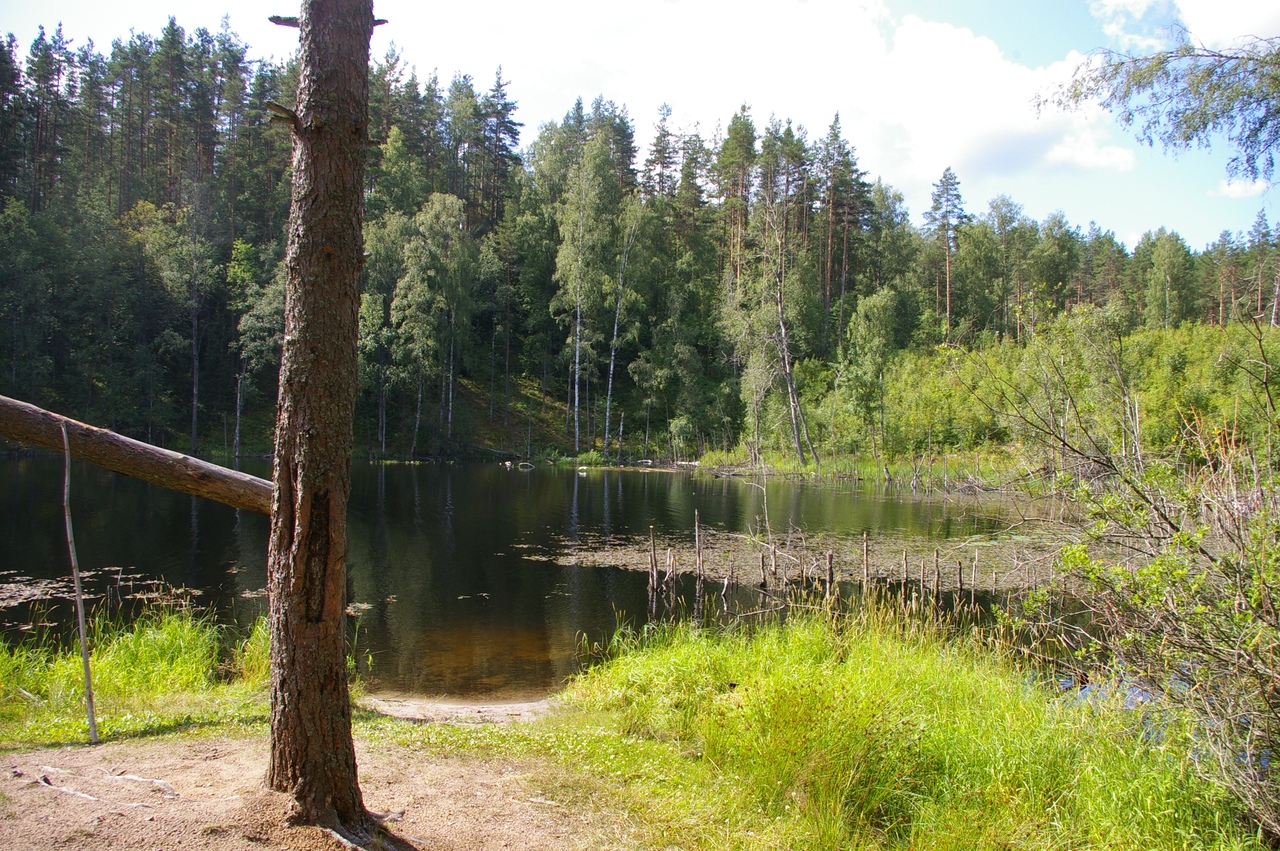 Гряда вярямянселькя озера. Озеро лебяжье петяярви. Петяярви посёлок при станции. Озеро петяярви. Озеро ликолампи петяярви.