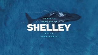 Shelley  (Summer Mix) Trailer | CORALLY, Billx, Jean Marie, Thomas Deil