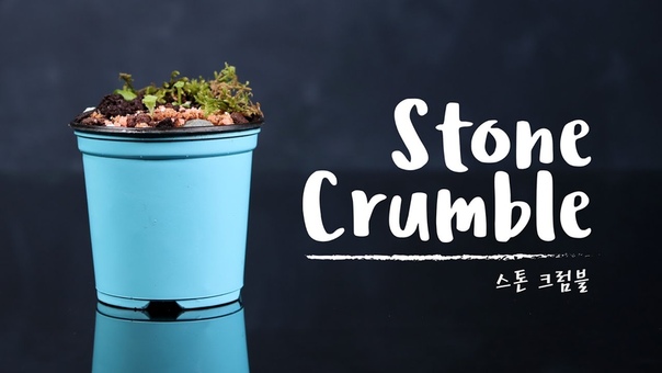 STONE CRUMBLE 스톤 크럼블 COOKER