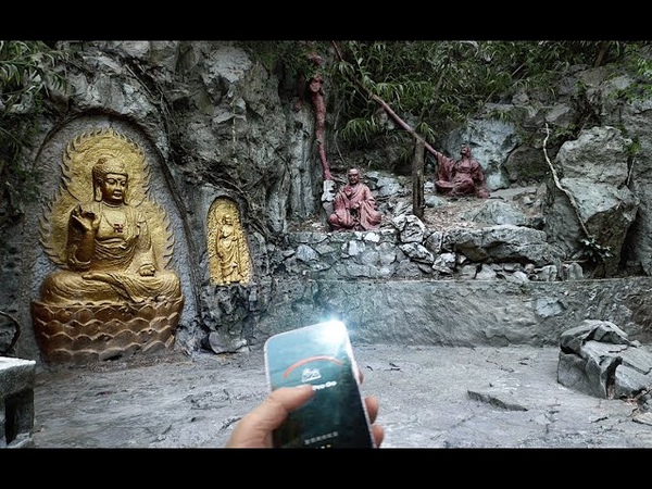 Secluded Orchid Unreal Engine 5 Tech