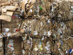 Recycled Paper (Bail)