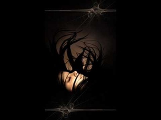 Stillife ~ Disillusions