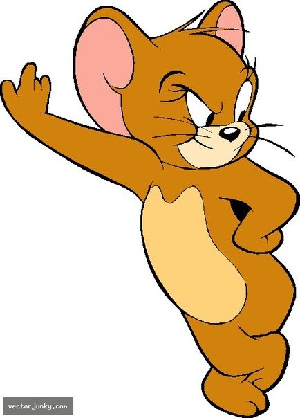 Кирилл Носов | Липецк