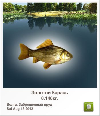 Дмитрий Дягилев сергеевич | Москва