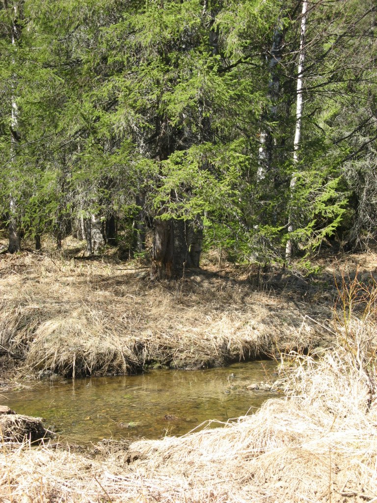 Михаил Сухов | Екатеринбург