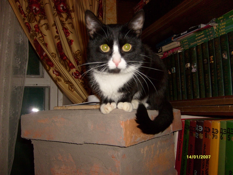 Татьяна Маклакова | Вологда