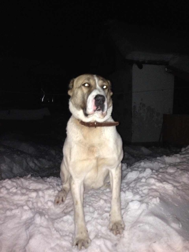 Альбина Низамова | Ижевск