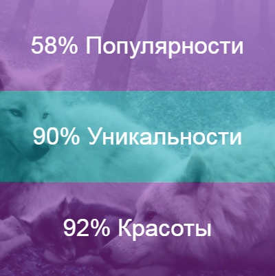 Роман Цыбенко | Мариуполь