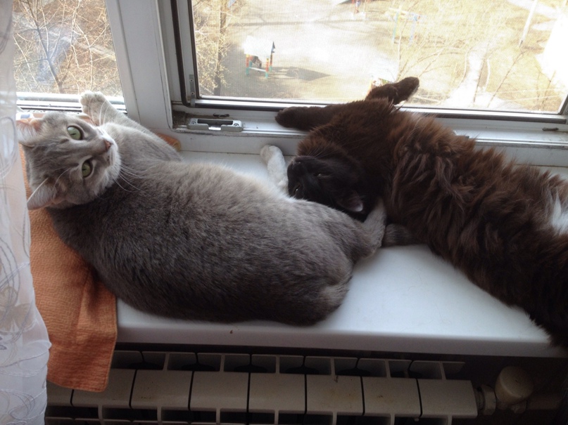 Ирина Бобылёва | Озерск