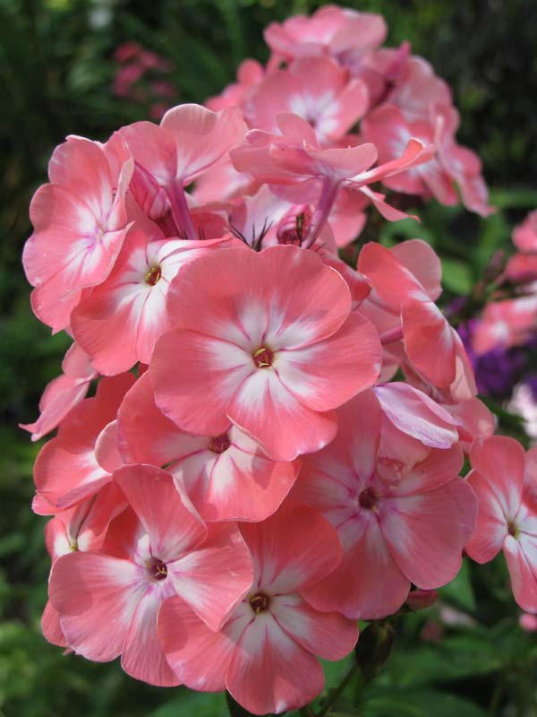 Татьяна Степанова | Казань