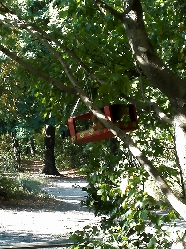 Полина Рязанова |