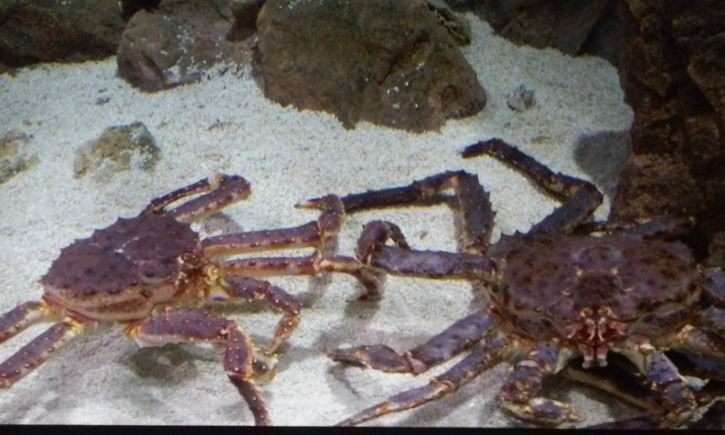 Анна Пономаренко | Санкт-Петербург