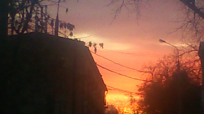 Марина Погодина | Москва