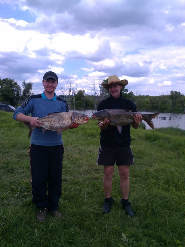 Александр Пугач | Кропивницкий / Кировоград