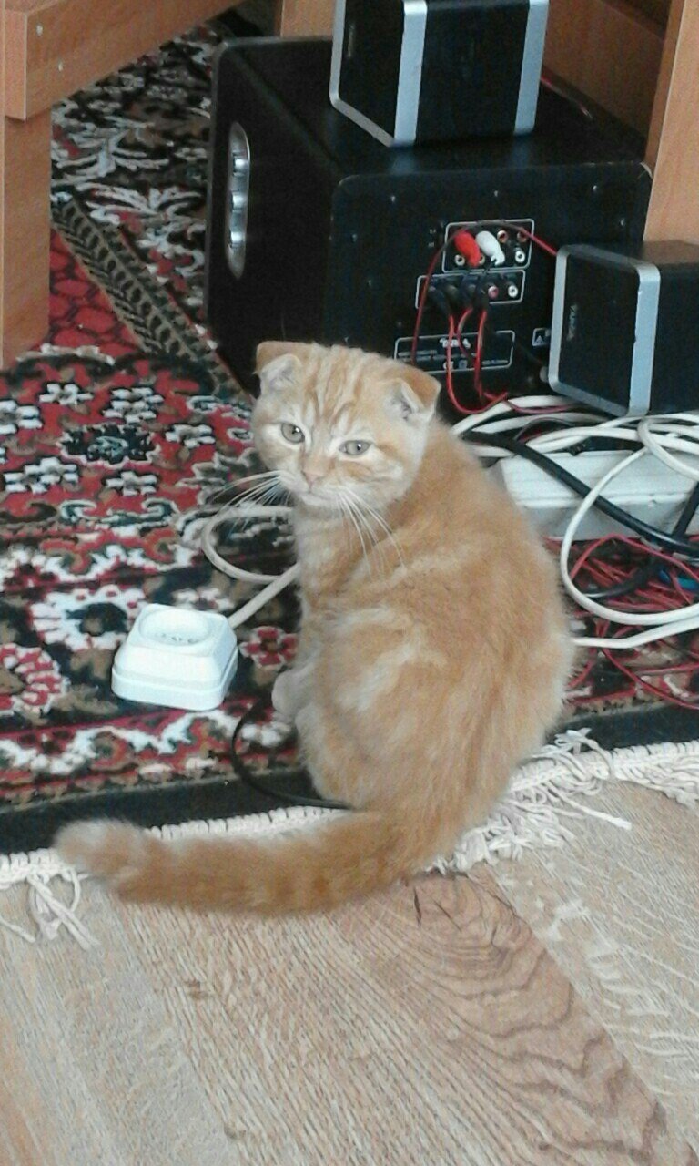 Ирина Мазур | Salerno