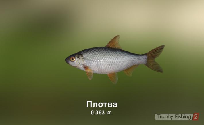 Руслан Фаткуллин | Магнитогорск