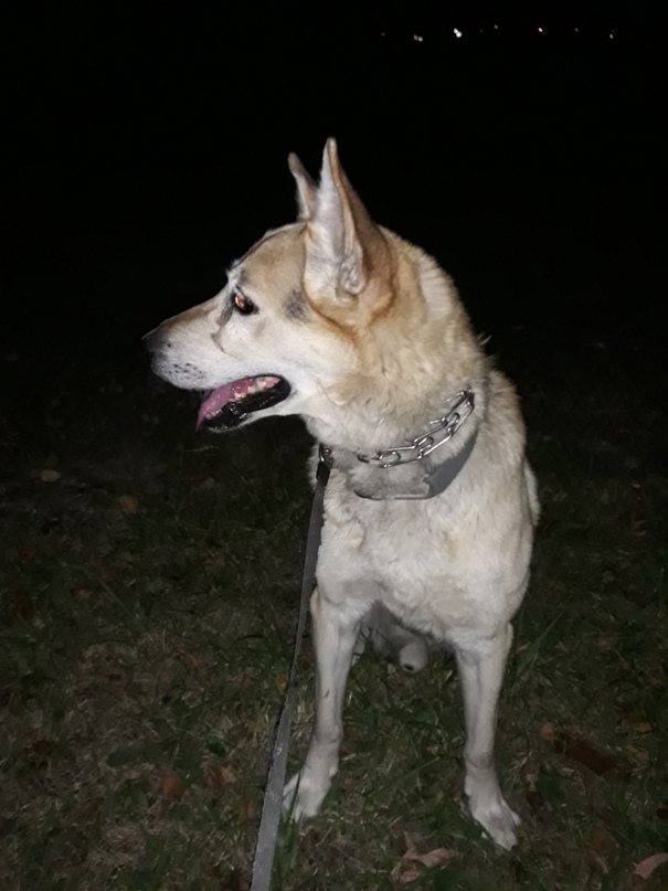 Альбина Ахмадеева | Казань