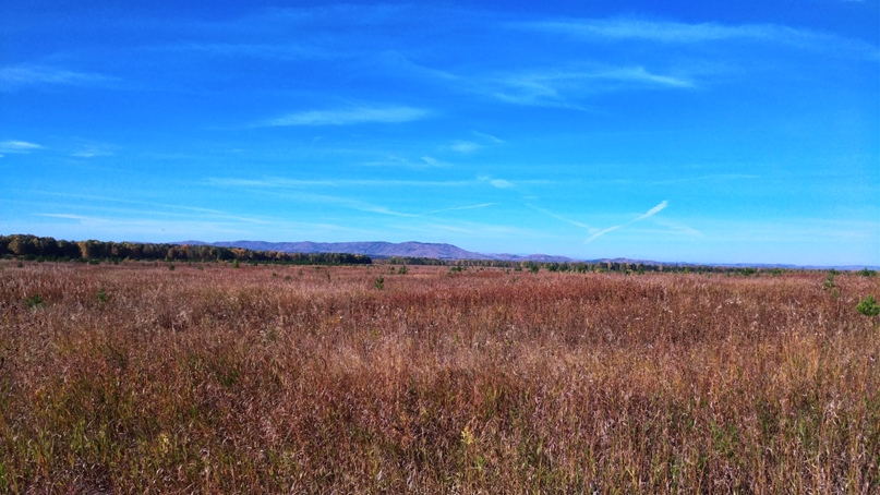 Матвей Арманов | Снежинск