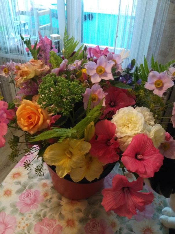 Олеся Борисевич | Могилёв