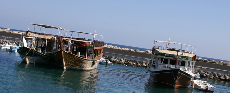 Елена Максимова | Санкт-Петербург