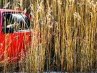 Денис Новак | Купянск
