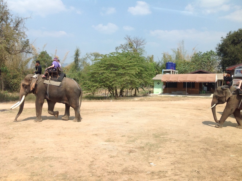 Ольга Турова | Сургут