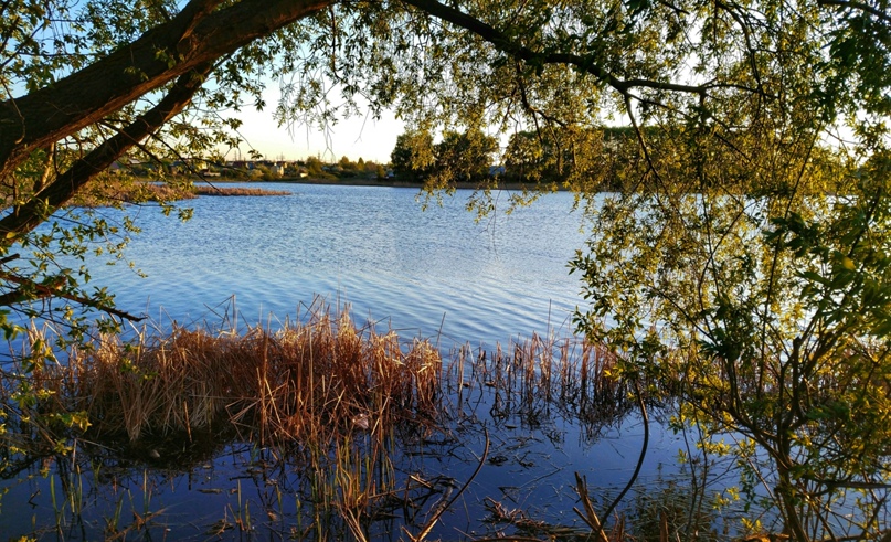 Кирилл Черников |