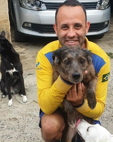 Сегодня я узнала историю о том, как один почтальон в...