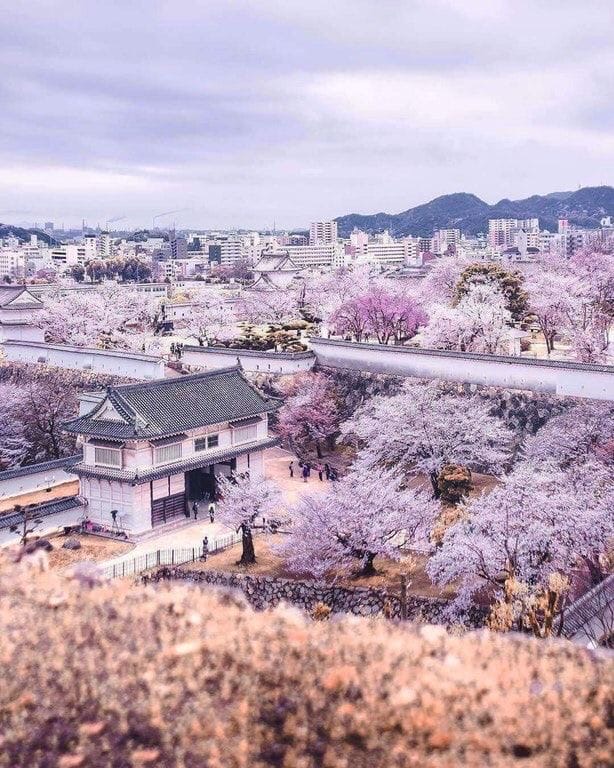 Юлия Беляева | Березники