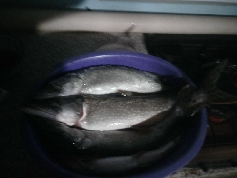 Алексей Угольников | Оренбург