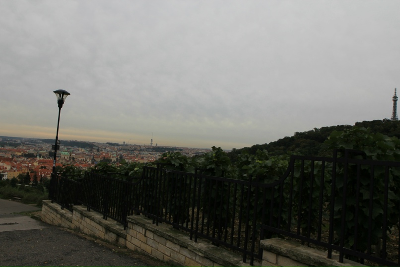 Ирина Иванова | Санкт-Петербург