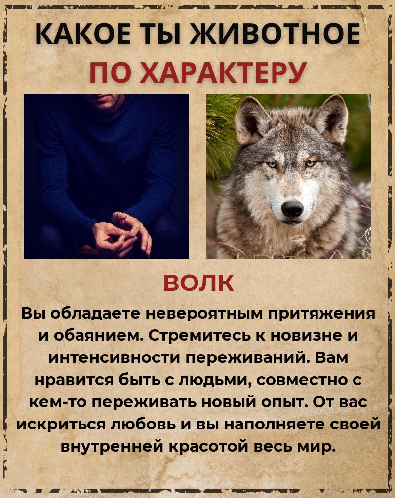 Сергей Кучеренко | Петрозаводск