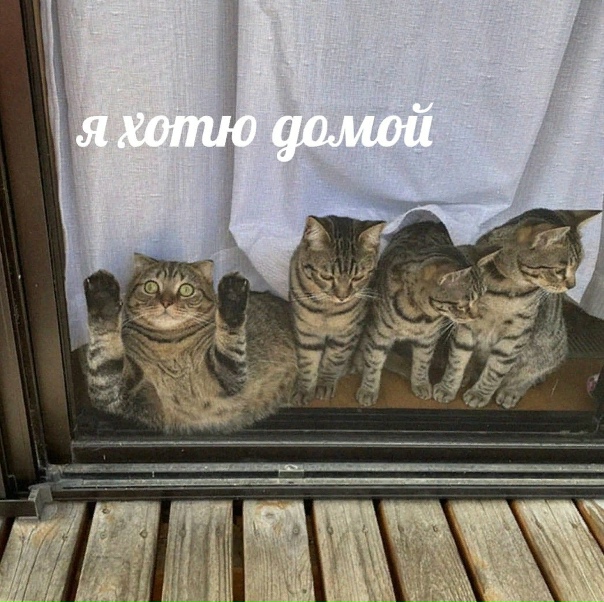 мне тут грустно