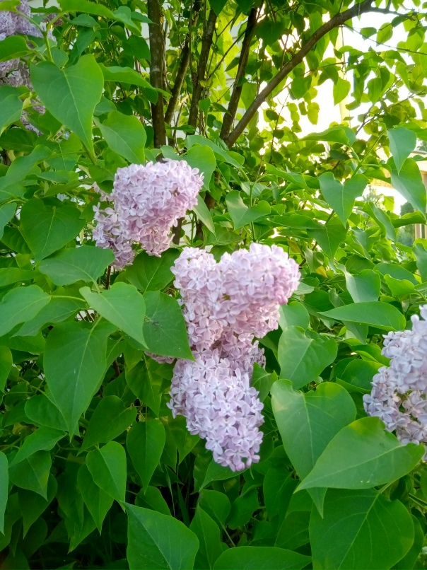 Александр Ураков | Апатиты