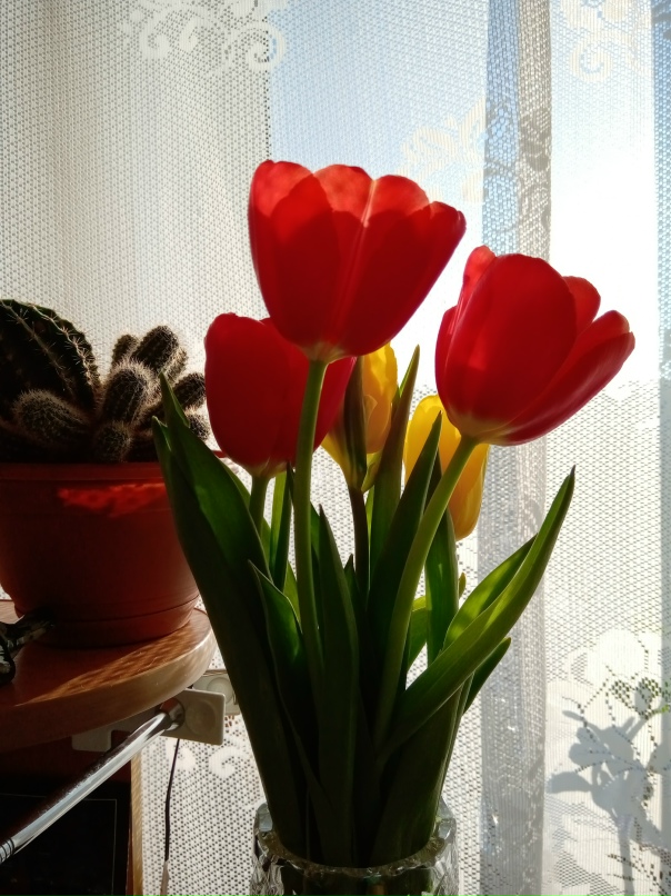 Александр Ураков | Апатиты