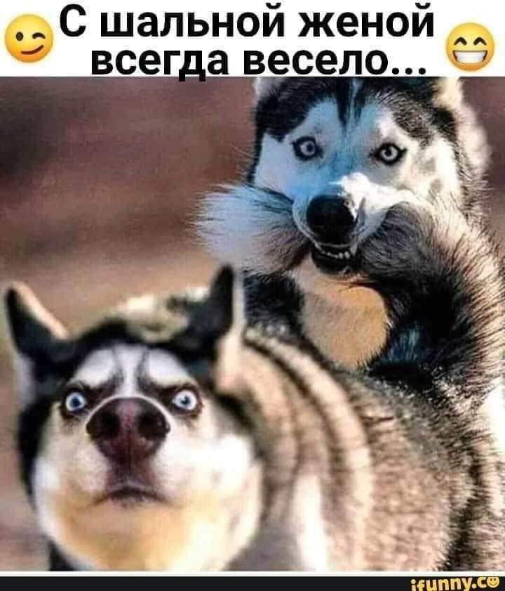 Ольга Лысова | Санкт-Петербург