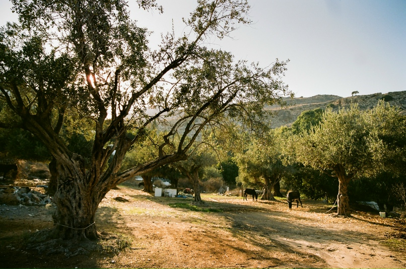 Ирина Успенская | Санкт-Петербург