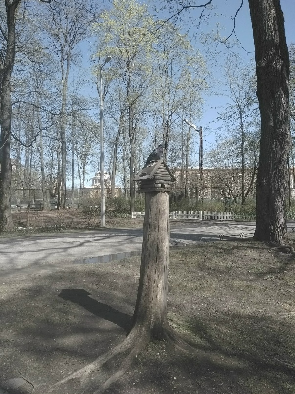Любовь Свирина | Санкт-Петербург