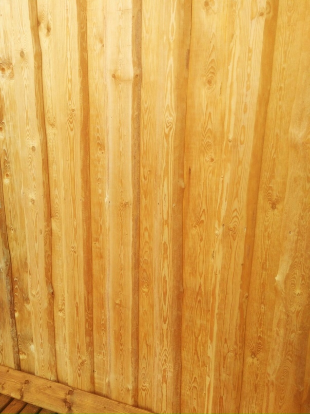 Александр Пучков | Санкт-Петербург