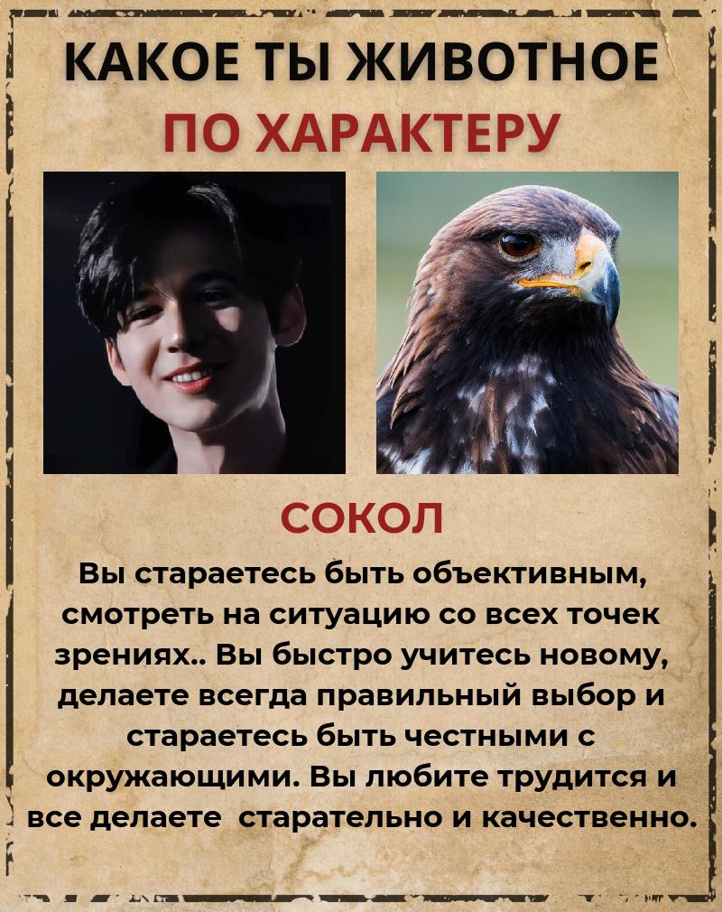 Алексей Золотухин | Нижний Новгород