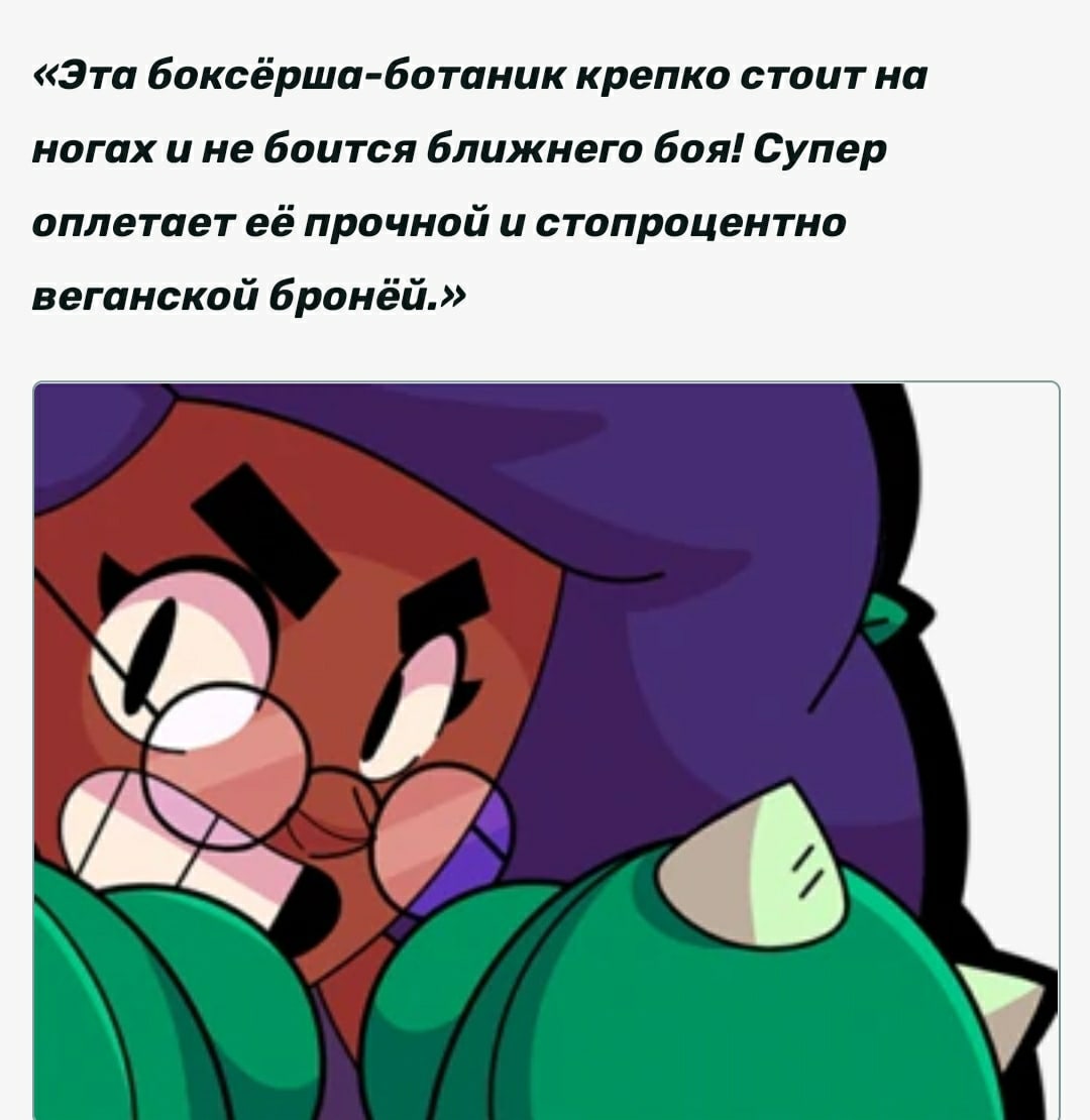 Роза из Браво старс